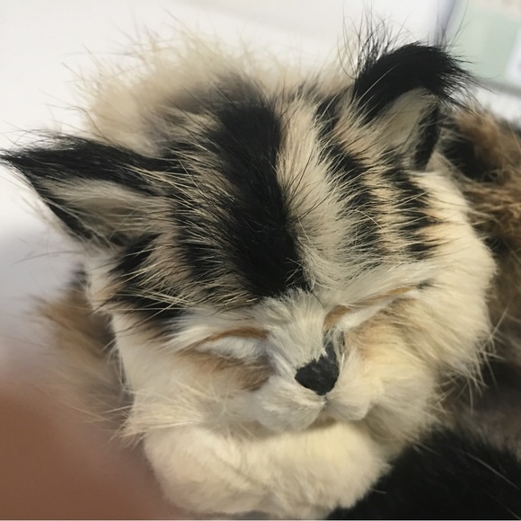 Vtg Real rabbit fur sleeping Cat Kitten Realistic So Super Soft 6” - Picture 3 of 6